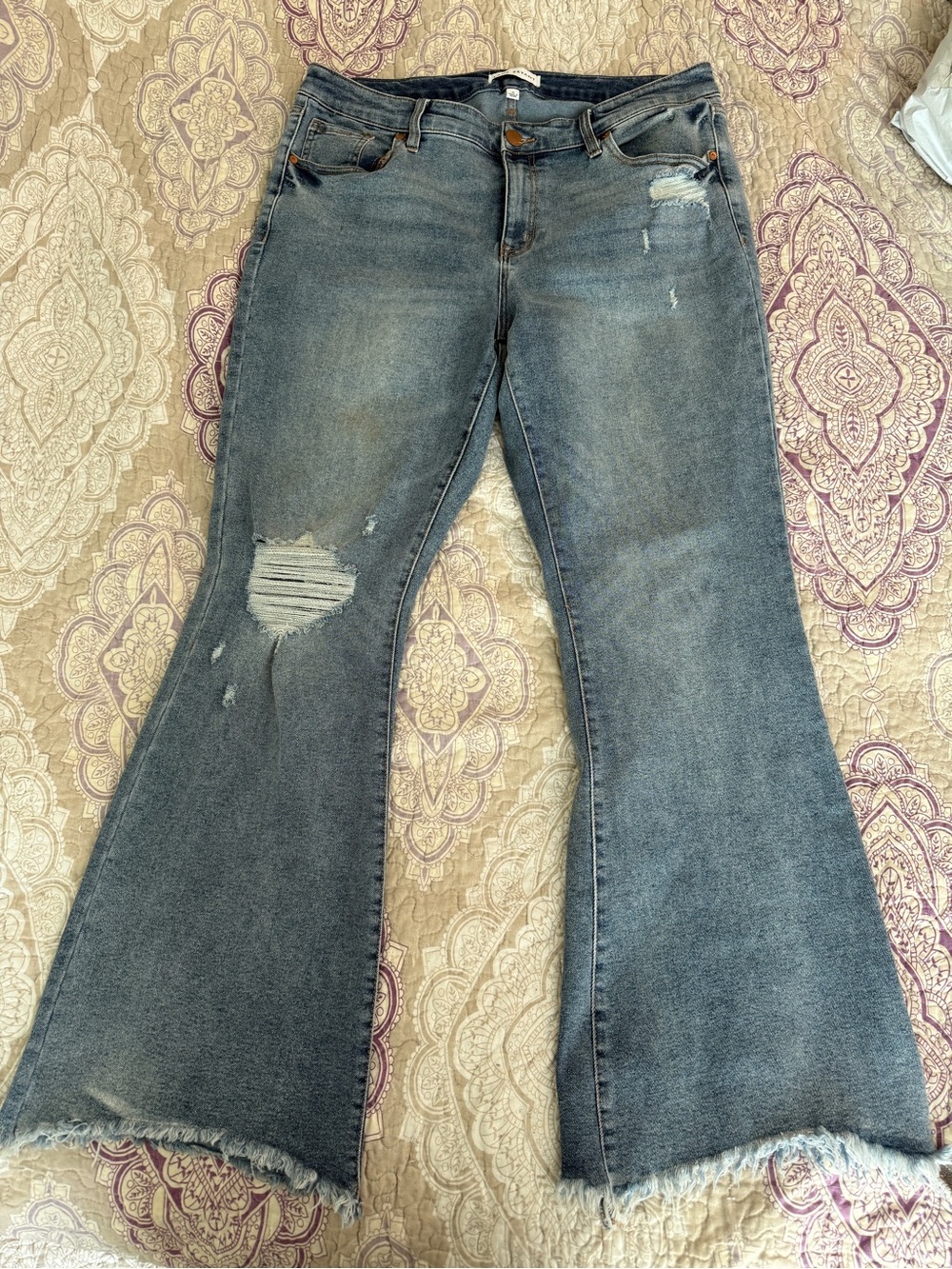 Lane Bryant Flared jeans size 16